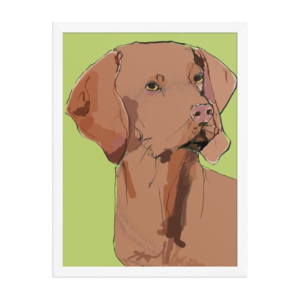 Image of VIZSLA FRAMED ART