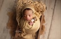 Fawn Newborn Bonnet Wrap & Layer Photography Prop Set