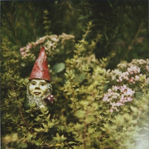 Image of garden gnome