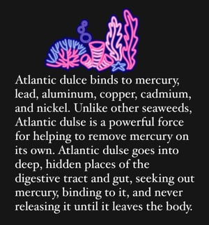 Image of Atlantic Dulse