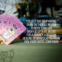 Image 2 of Catsby Cartel Companion Cards