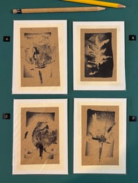 Image 3 of Surly Youth - Mono & Mixed Media Prints