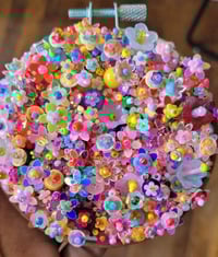 Image 2 of skittlez 2