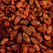 Image of Raw Fermented Cacao Beans, 1 kg.