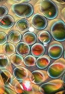 Image 3 of Small Honeycomb Marble