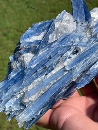 Image 3 of Blue Kyanite In Quartz Specimen #1783
