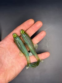 Image 2 of 4” Creek Chub “Space Grass” 