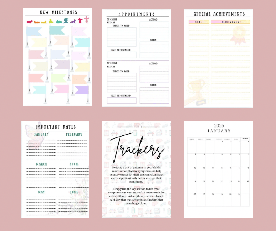 2025 Ultimate SEND Parenting planner - Printable 