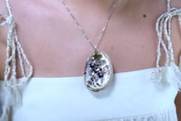 Image 3 of Lamb triplets 