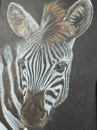 Image 2 of Kenya, Zebra Original Framed Art