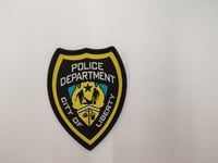 Liberty City Police