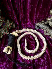Image 2 of Bone Whip - Python Vertebrae 
