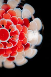 Image 3 of Red Tones Dotstack Pendant 