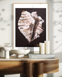 Image 4 of Conch Shell Print