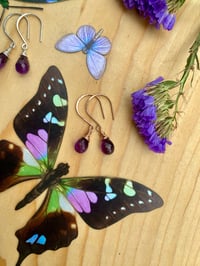 Image 2 of Simple Amethyst Earrings