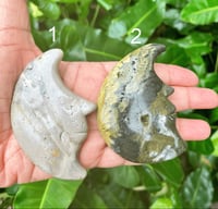 Image 4 of Bumblebee Jasper Moons