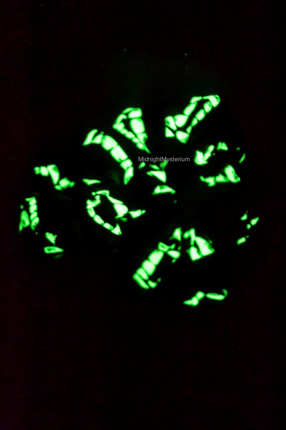 Bite In The Dark Scrunchie