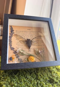 Image 3 of Gilded Cicada