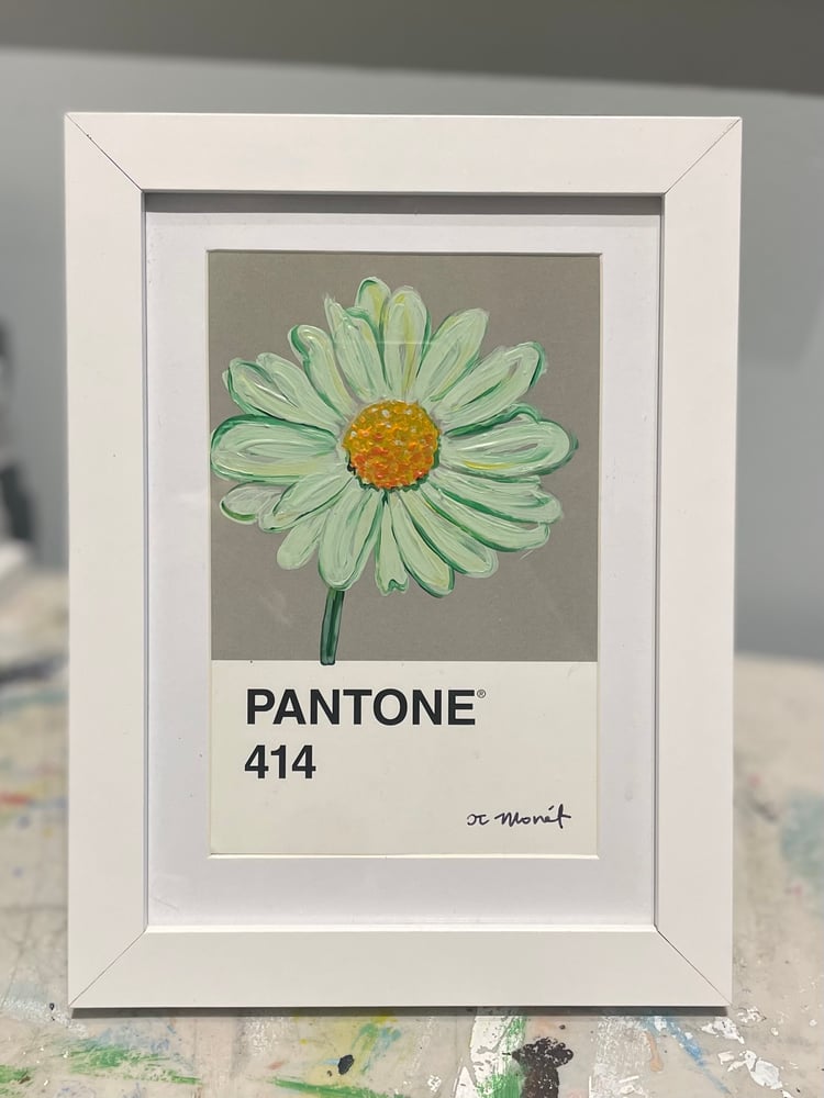 Image of Daisy Pantone