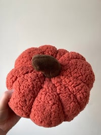 Image 4 of Fluffy pumpkin - Large.