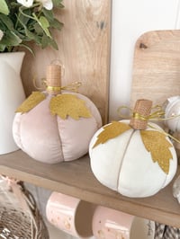 Image 1 of SALE! Velvet Pumpkins ( Set or Singles 