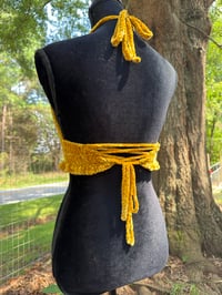 Image 3 of S/M Velvet Eclipse Corset Top