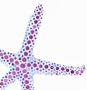 Image of ORIGINAL - Purple and Blue Starfish