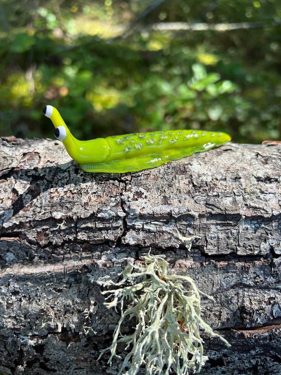 Image of Chartreuse Boro Slug