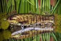 Finesse Shat - “Smallmouth”