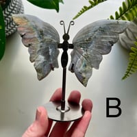 Image 4 of Labradorite Butterfly with Stand