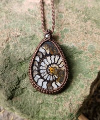 Image 1 of Large Unique Ammonite 