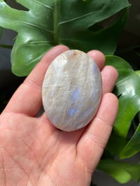 Image 3 of Moonstone Palm Crystal (5)