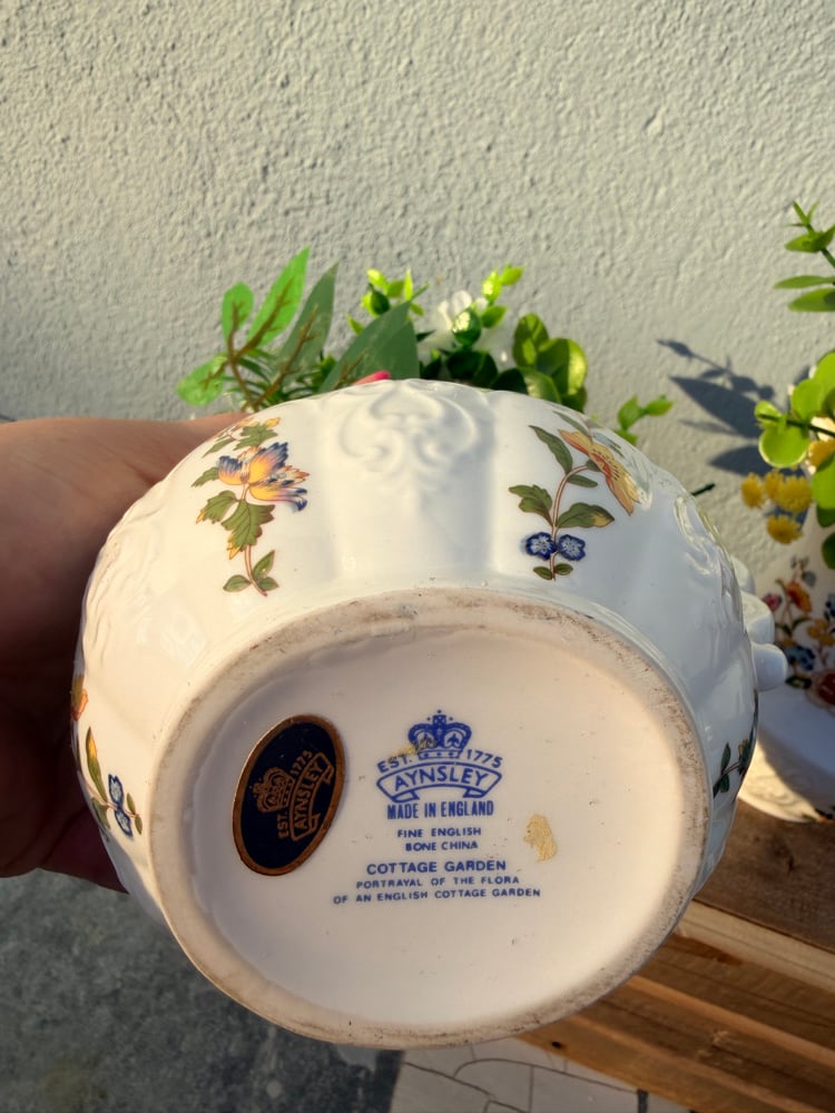 Image of Pair of Aynsley Jugs 