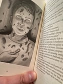 Morbid Curiosities Book 3: Cemetery Camp - Signed Paperback Bundle