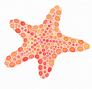 Image of ORIGINAL - Little Orange Sea Star