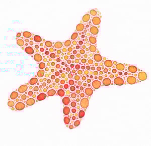Image of ORIGINAL - Little Orange Sea Star