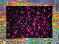 Image 2 of Micrograph - Hair Dye