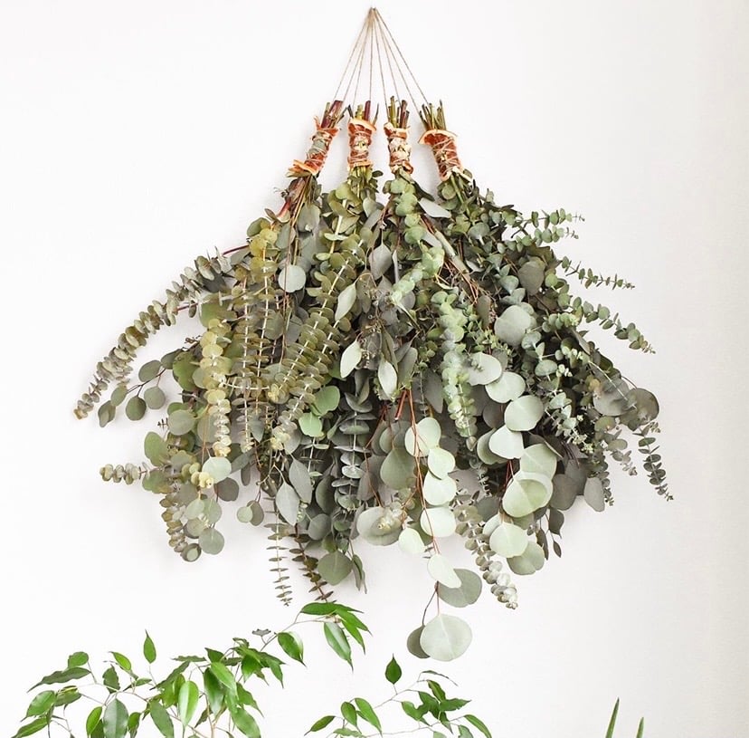 Image of Eucalyptus & Grapefruit Shower Bundle *NO SHIPPING. LOCAL DELIVERY ONLY*