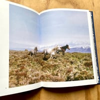 Image 8 of Bego Antón - The Earth Is Only A Little Dust Under Our Feet (Signed)