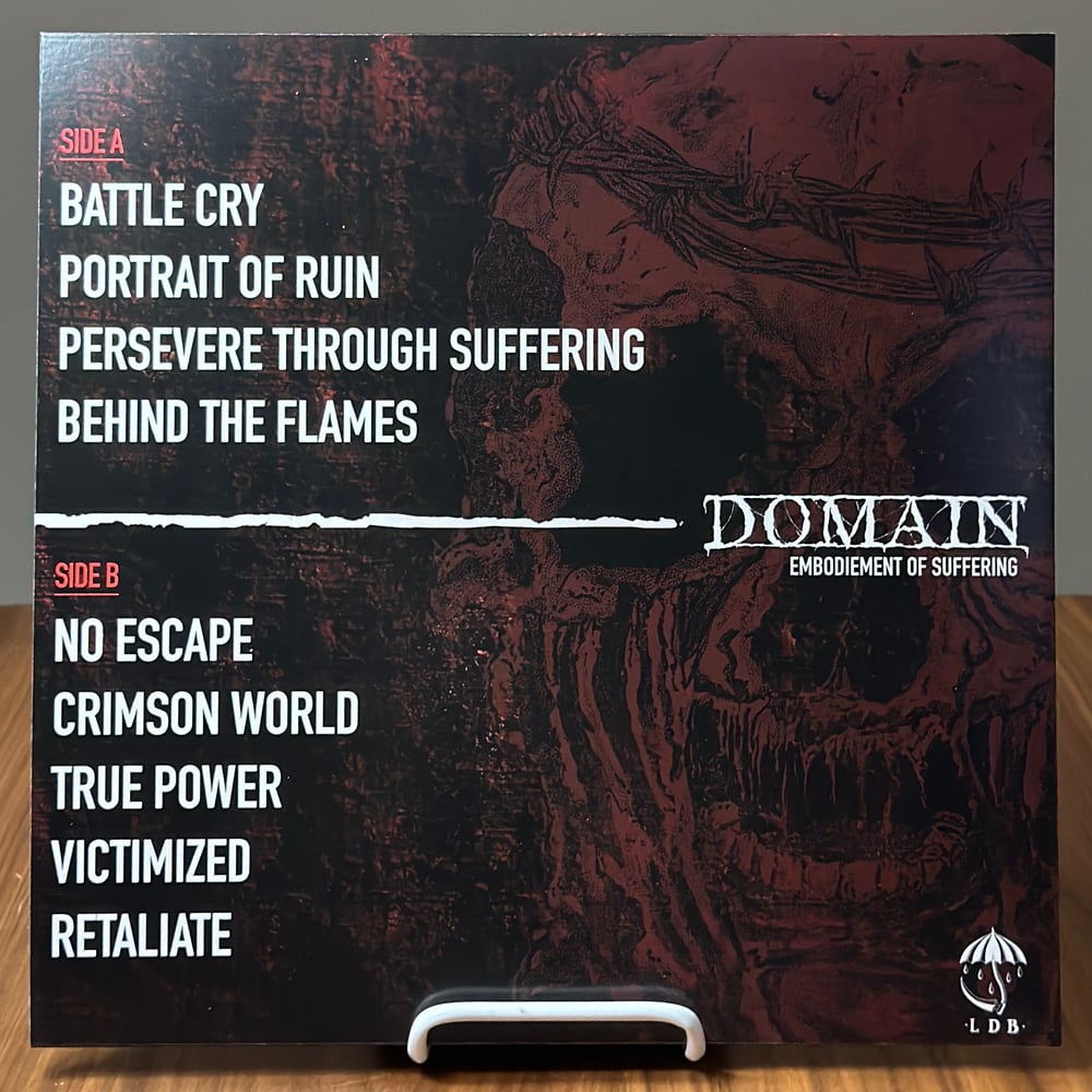 Domain- Embodiment of Suffering 12”