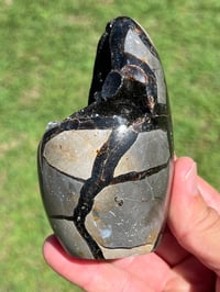 Image 8 of Septarian Nodule Polished Freeform With Calcite Inclusions| Madagascar #2894