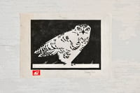 Image 1 of Snowy Owl ✦ Linocut Print