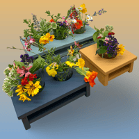 Image 1 of Cat-Safe Vase