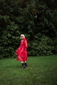 Image 3 of Holly Stalder Crimson Rose Layered Organza Dress 