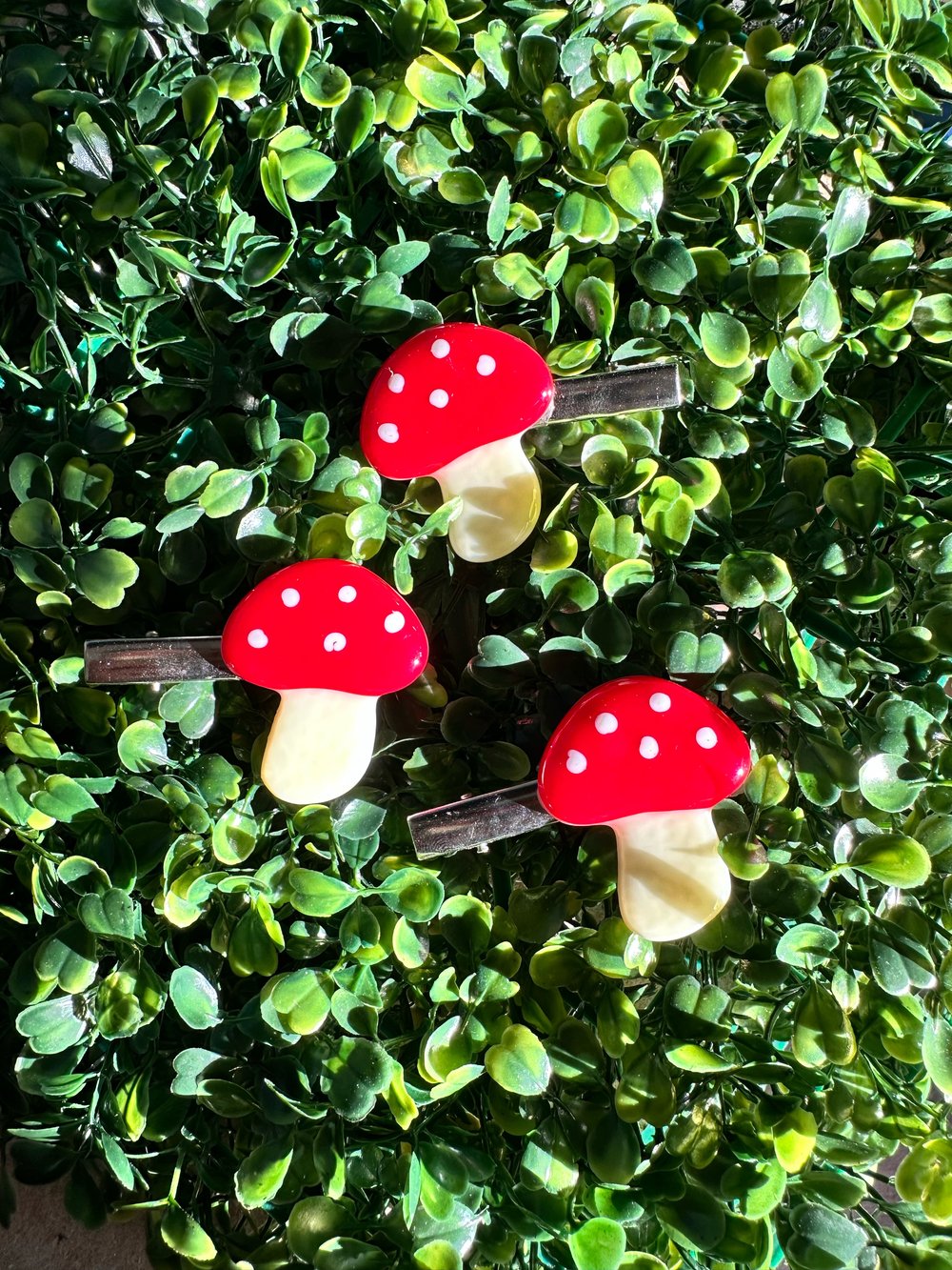 Image of mushroom clip