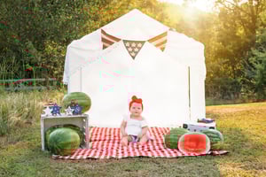 Image of watermelon 🍉 mini’s 