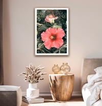 Image 4 of Hibiscus fine art photograph 