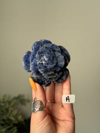 Image 1 of SODALITE  ROSES