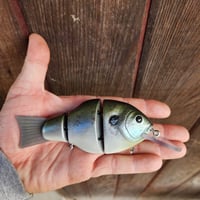 Roof gill (diving version)