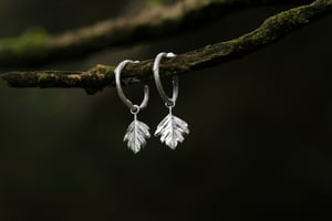 Image of Twiggy Hawthorn Hoop Earrings 